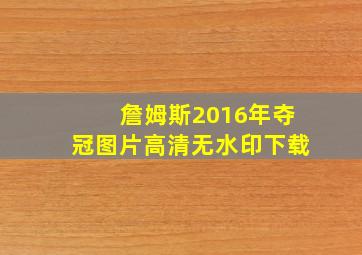 詹姆斯2016年夺冠图片高清无水印下载