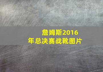 詹姆斯2016年总决赛战靴图片