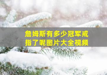 詹姆斯有多少冠军戒指了呢图片大全视频