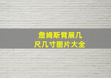 詹姆斯臂展几尺几寸图片大全