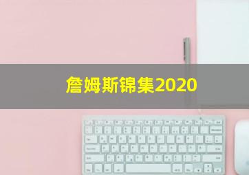 詹姆斯锦集2020