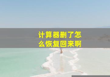 计算器删了怎么恢复回来啊