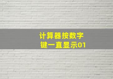 计算器按数字键一直显示01