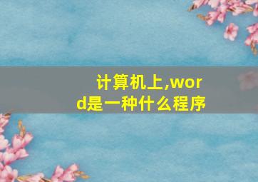 计算机上,word是一种什么程序