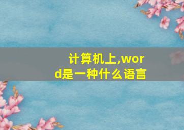 计算机上,word是一种什么语言