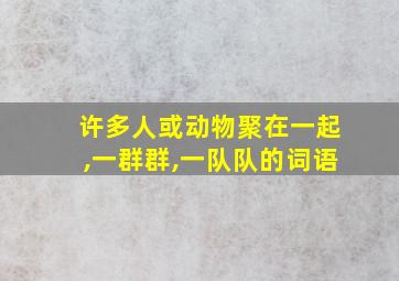 许多人或动物聚在一起,一群群,一队队的词语