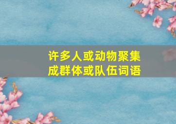 许多人或动物聚集成群体或队伍词语