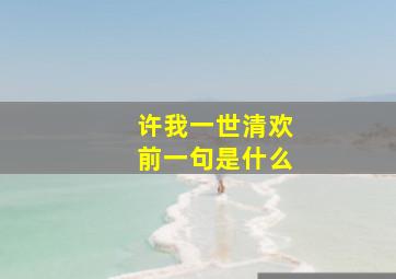 许我一世清欢前一句是什么