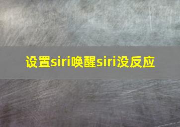 设置siri唤醒siri没反应