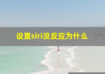 设置siri没反应为什么