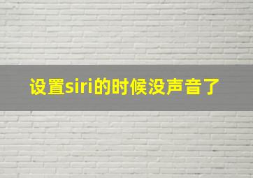 设置siri的时候没声音了