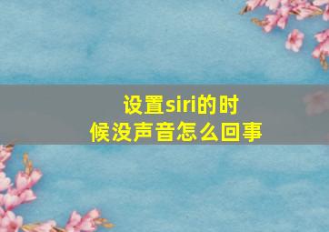 设置siri的时候没声音怎么回事