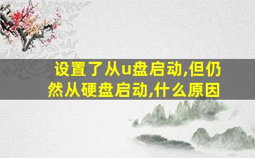 设置了从u盘启动,但仍然从硬盘启动,什么原因