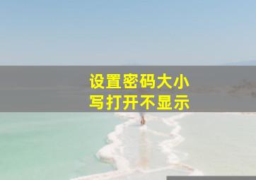 设置密码大小写打开不显示