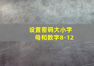 设置密码大小字母和数字8-12