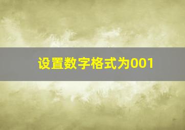 设置数字格式为001