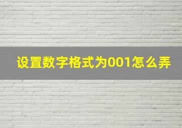 设置数字格式为001怎么弄