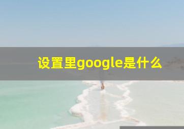 设置里google是什么