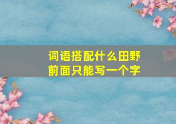 词语搭配什么田野前面只能写一个字