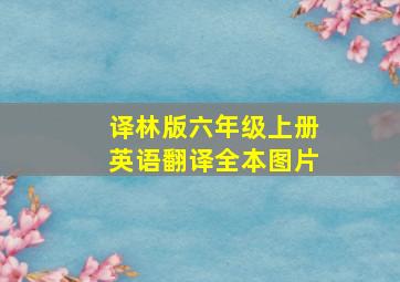 译林版六年级上册英语翻译全本图片