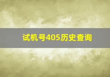 试机号405历史查询