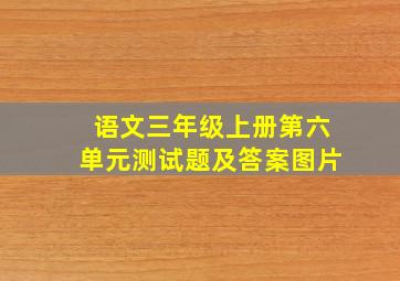 语文三年级上册第六单元测试题及答案图片