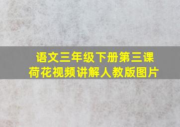 语文三年级下册第三课荷花视频讲解人教版图片