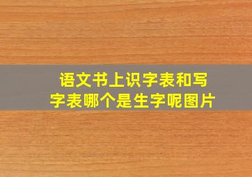 语文书上识字表和写字表哪个是生字呢图片