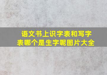 语文书上识字表和写字表哪个是生字呢图片大全