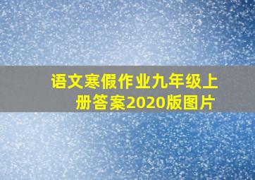 语文寒假作业九年级上册答案2020版图片