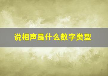 说相声是什么数字类型