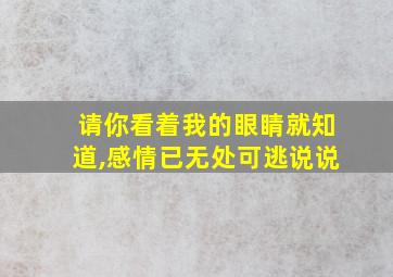 请你看着我的眼睛就知道,感情已无处可逃说说