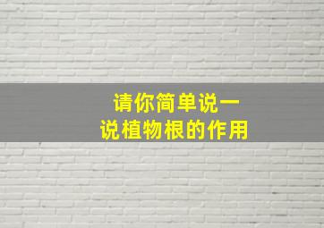 请你简单说一说植物根的作用