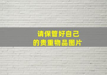 请保管好自己的贵重物品图片