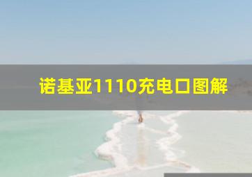 诺基亚1110充电口图解