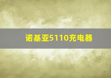 诺基亚5110充电器