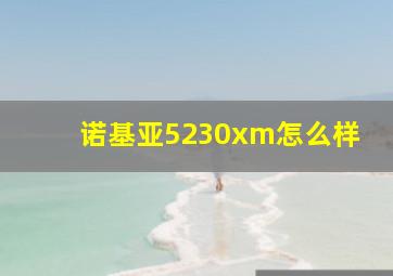 诺基亚5230xm怎么样