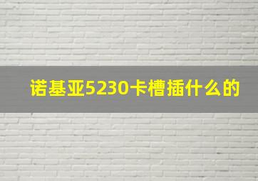 诺基亚5230卡槽插什么的