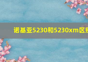 诺基亚5230和5230xm区别