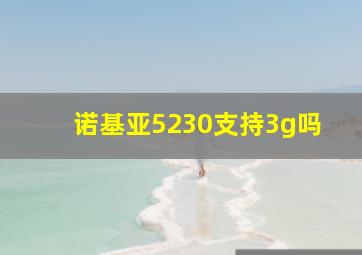 诺基亚5230支持3g吗