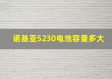 诺基亚5230电池容量多大