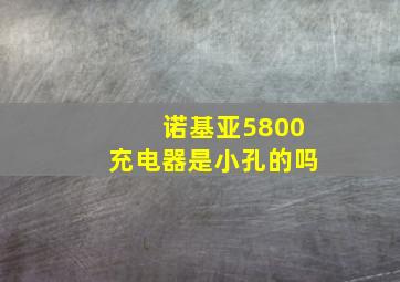 诺基亚5800充电器是小孔的吗