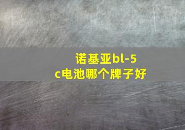 诺基亚bl-5c电池哪个牌子好