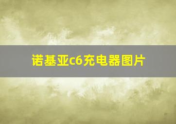 诺基亚c6充电器图片