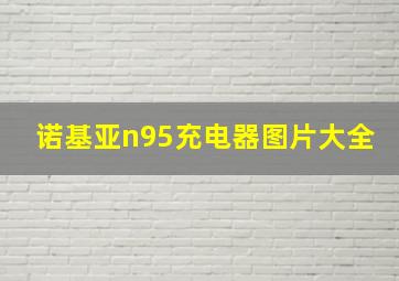 诺基亚n95充电器图片大全