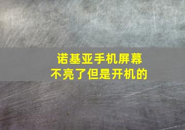 诺基亚手机屏幕不亮了但是开机的