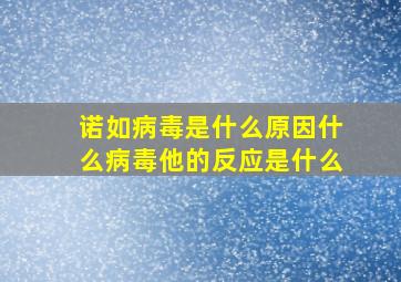 诺如病毒是什么原因什么病毒他的反应是什么