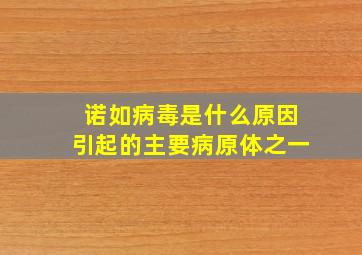 诺如病毒是什么原因引起的主要病原体之一