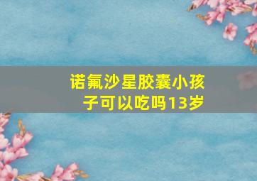 诺氟沙星胶囊小孩子可以吃吗13岁