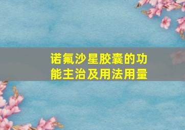 诺氟沙星胶囊的功能主治及用法用量